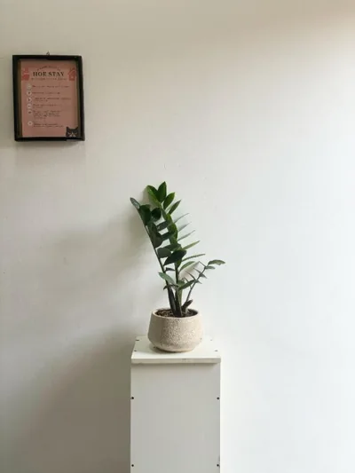 Hoe Stay - Where to stay – Fotos 15
